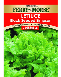 Ferry Morse Large Vegetable Garden Set